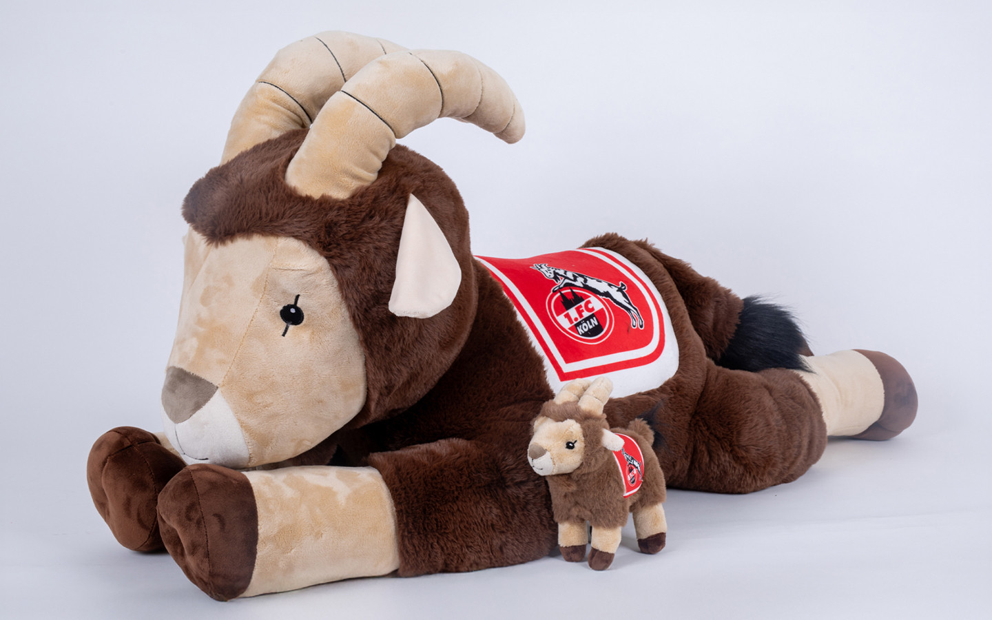 Grüner Hennes – 1. FC Köln