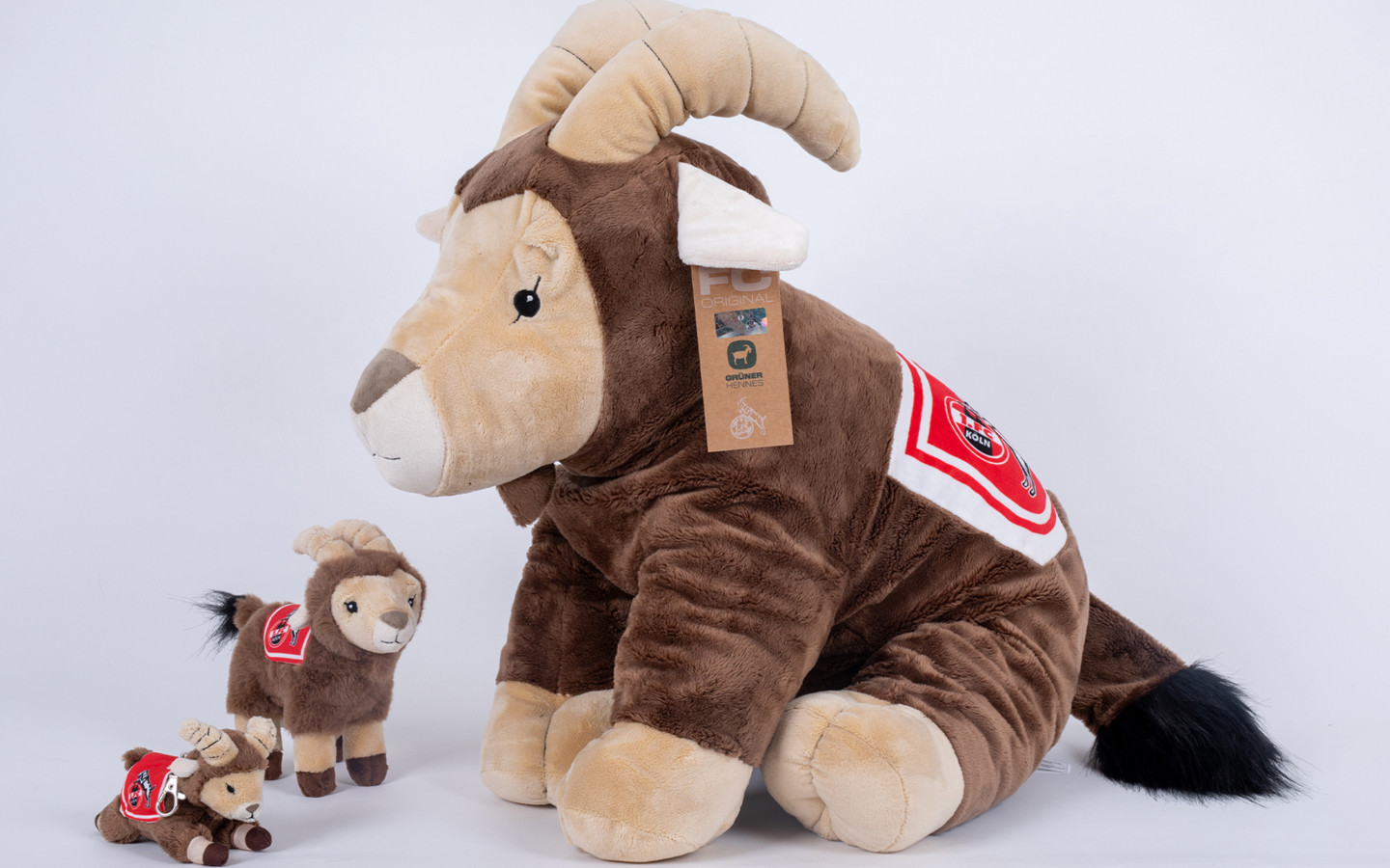 Grüner Hennes – 1. FC Köln